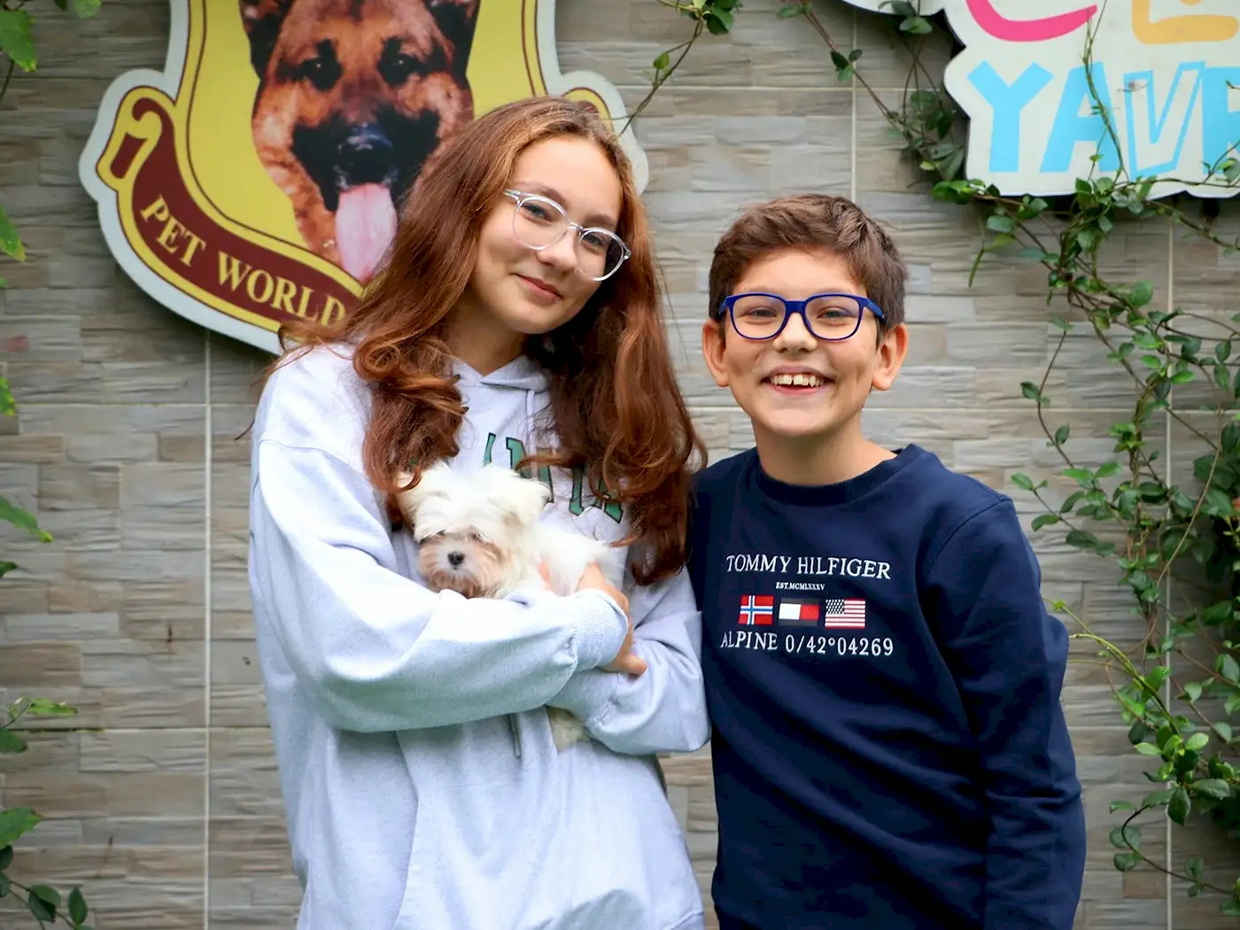 Yörük ailesi Microteacup Morkie yavrularına kavuştular