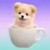 Teacup