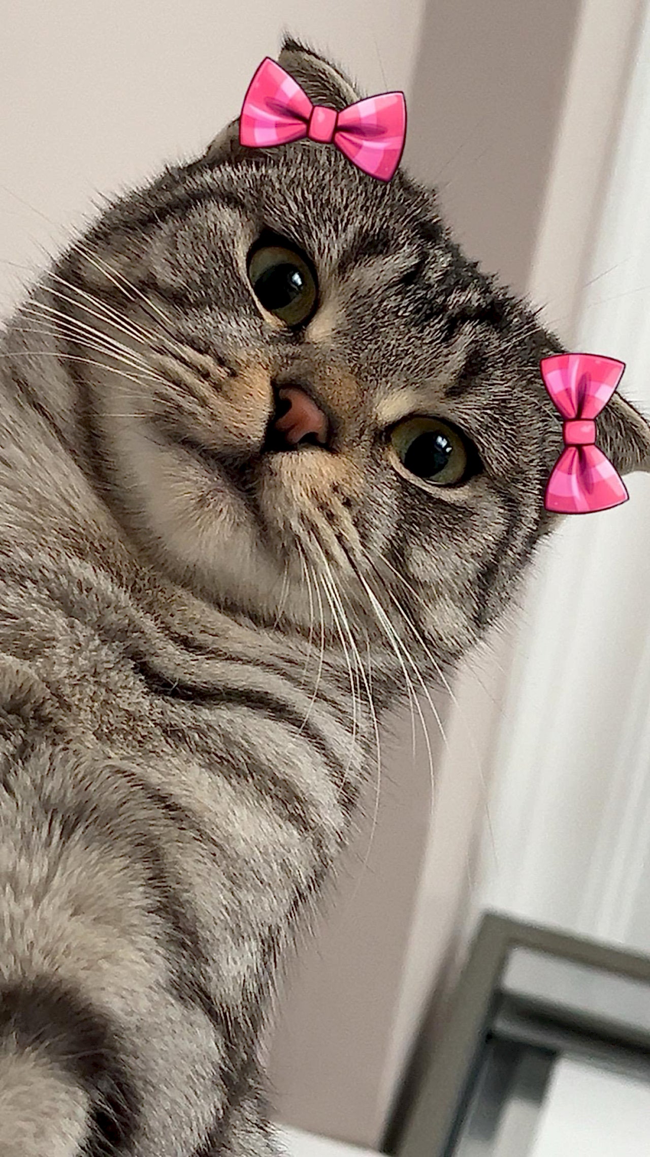 Liza