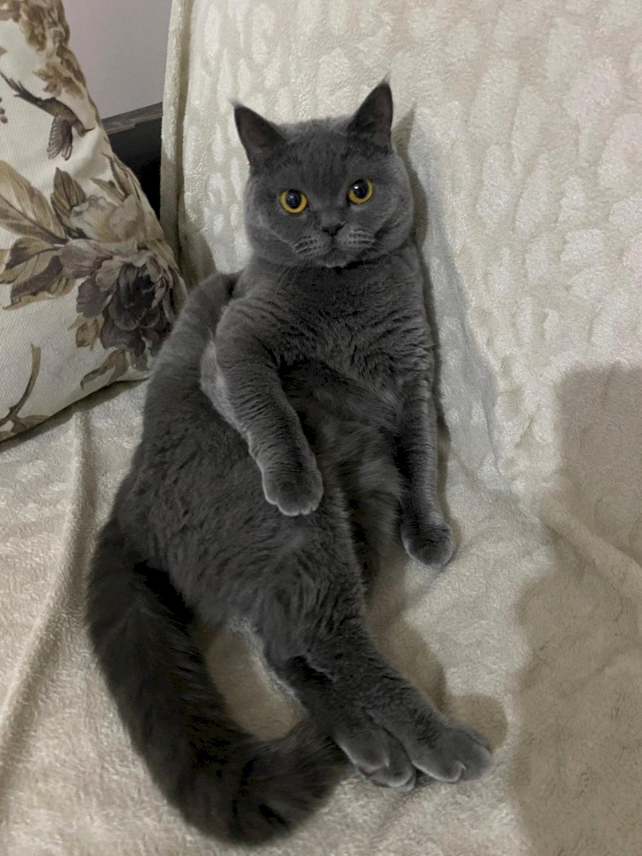 Hera